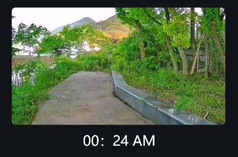 การมองเห็นในความมืด: คำแนะนำง่ายๆ สำหรับกล้องถ่ายภาพแสงสีดำเพื่อความปลอดภัยในตอนกลางคืน